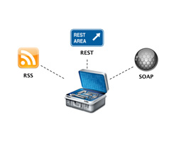 Web Service API - Penny Auction Software